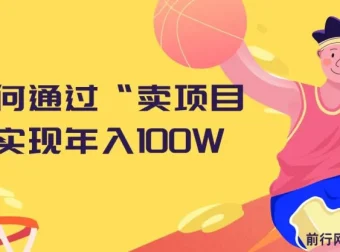 2024年：通过“卖项目”实现年入100W的策略分享
