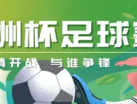 UEFA Euro 2024 欧洲杯足球赛7场精彩对决