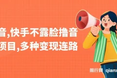 抖音、快手不露脸撸音浪项目：多样变现路径课程