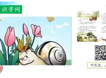 1-6年级语文上册七彩云课堂同步精讲视频