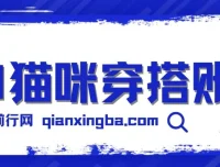 AI猫咪穿搭账号保姆级教程：起号容易，多种变现途径