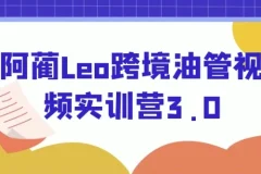 阿蔺Leo跨境油管视频实训营3.0：YouTube线上运营实操课