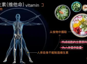 乐乐课堂初中生物高清动画视频：初一初二全解析，探索生物奥秘