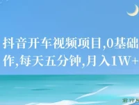 抖音开车视频项目：0基础操作，每日五分钟可创收