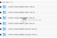 2025年秋《典中点·小学综合应用创新题》语数英多版本