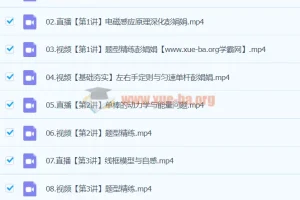 彭娟娟2024高二物理A+寒假班