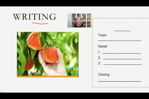 徐老师英语阅读写作L1课程：专为英语初学者打造的50讲系统课程【全+作业】