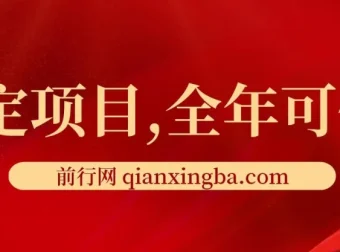 找茬烧脑类口播项目：视频号与快手收益指南