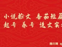 番茄短篇小说推文：起号、养号与选文实操指南