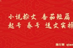 番茄短篇小说推文：起号、养号与选文实操指南