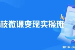 荔枝微课变现实操班课程