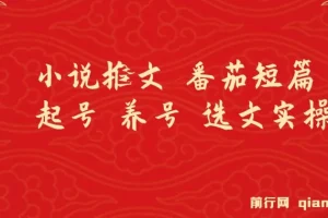番茄短篇小说推文：起号、养号与选文实操指南