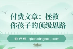 付费文章：《拯救你孩子的顶级思路：聊透学业、事业与未来》
