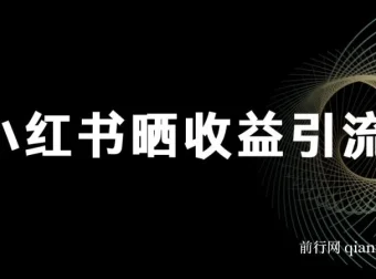 小红书晒收益图引流垂直项目粉课程：日引200+策略详解