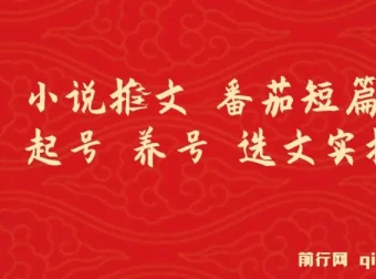 番茄短篇小说推文：起号、养号与选文实操指南