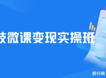 荔枝微课变现实操班课程