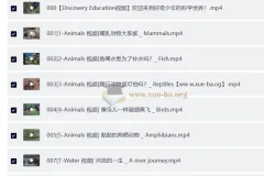 Discovery 双语科学启蒙课：探索好奇少年的双语科学世界（音视频+配套资料）