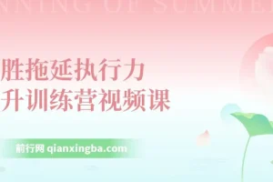 琳子《战胜拖延执行力提升训练营》视频课