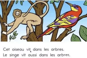 顶点教育少儿法语课：加拿大专家Derek亲授，助力6 – 15岁孩子法语启蒙与进阶