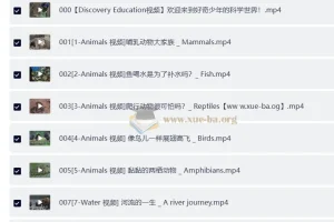 Discovery 双语科学启蒙课：探索好奇少年的双语科学世界（音视频+配套资料）