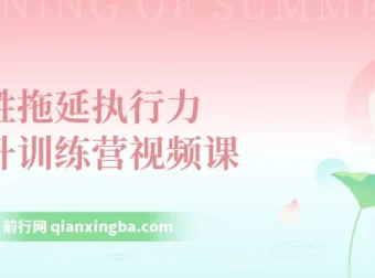 琳子《战胜拖延执行力提升训练营》视频课