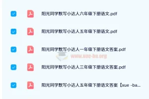 【2024 春】阳光同学默写小达人：小学语文默写练习资料