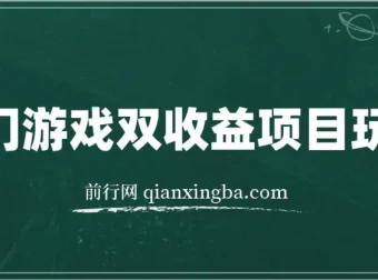 热门游戏双收益项目玩法教程