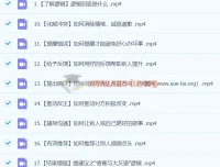 朱老丝：让说话有“逻辑”（完结22集）