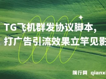 TG飞机群发协议脚本：批量采集群私聊，助力广告引流