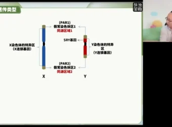 2024徐京高考生物点睛押题卷（全国各省卷含解析）