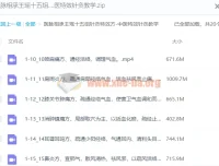 医脉相承：王瑶十五组针灸特效方 中医特效针灸教学课程