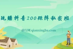 玩赚抖音200矩阵私密班课程