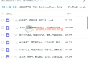 医脉相承：王瑶十五组针灸特效方 中医特效针灸教学课程