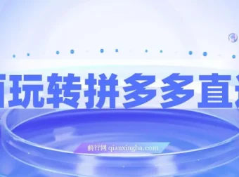 全面玩转拼多多直通车：新老店铺适用的运营玩法课程