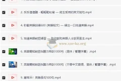 英语高效磨耳朵：涵盖听力与口语练习资源