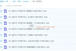 【完结】2024中考语文文学类文本一本通