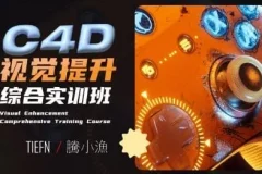 腾小渔C4D视觉提升综合实训班