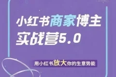 谢无敌小红书商家实战营5.0训练营：小红书平台系统化运营课程