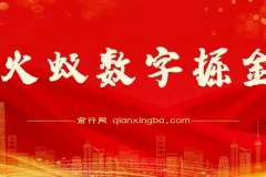 火蚁数字掘金项目资料：实操教程与收益介绍