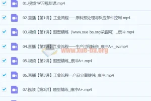 2024高三高考化学康冲寒假班(A+)