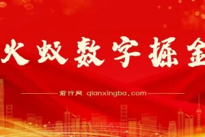 火蚁数字掘金项目资料：实操教程与收益介绍