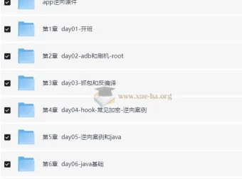 爬虫开发+APP逆向超级大神班第10期