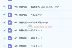 【B站课堂】一只不像老师的小怀怀：高中电学实验核心思路全解