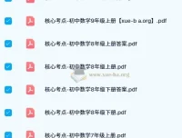 《核心考点：初中数学》