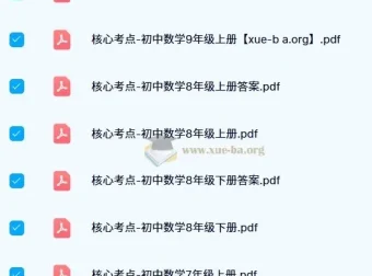 《核心考点：初中数学》