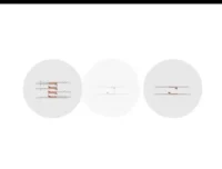 陈旭晨精讲高二生物必修课：基因工程与发酵技术