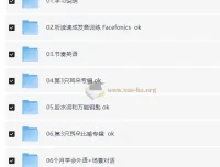 功夫英语全套课程：开启流利英语口语之旅