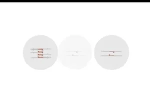 陈旭晨精讲高二生物必修课：基因工程与发酵技术