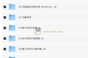 功夫英语全套课程：开启流利英语口语之旅