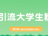 免费资料引流大学生粉蓝海项目：一部手机实现日入300+